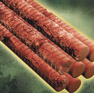 lesione-muscolare-doms